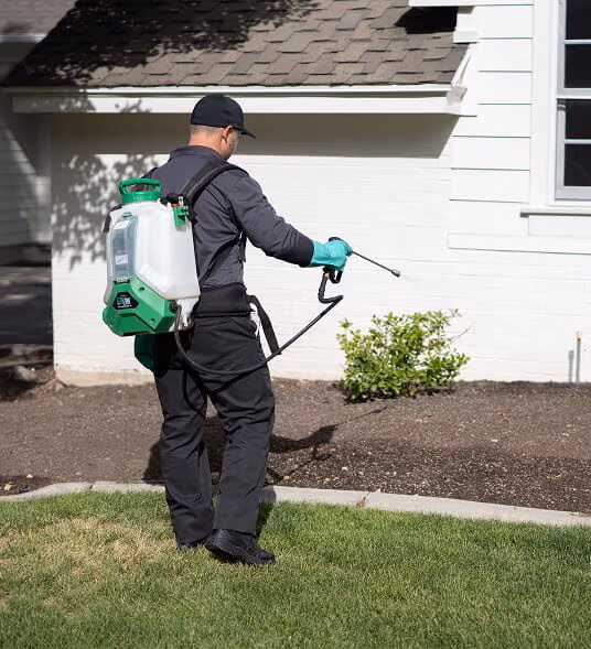 Total Pest Control technician treating a Fresno home