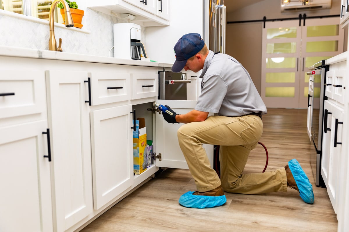 Total Pest Control technician applying targeted gel-bait treatment under a Fresno kitchen sink